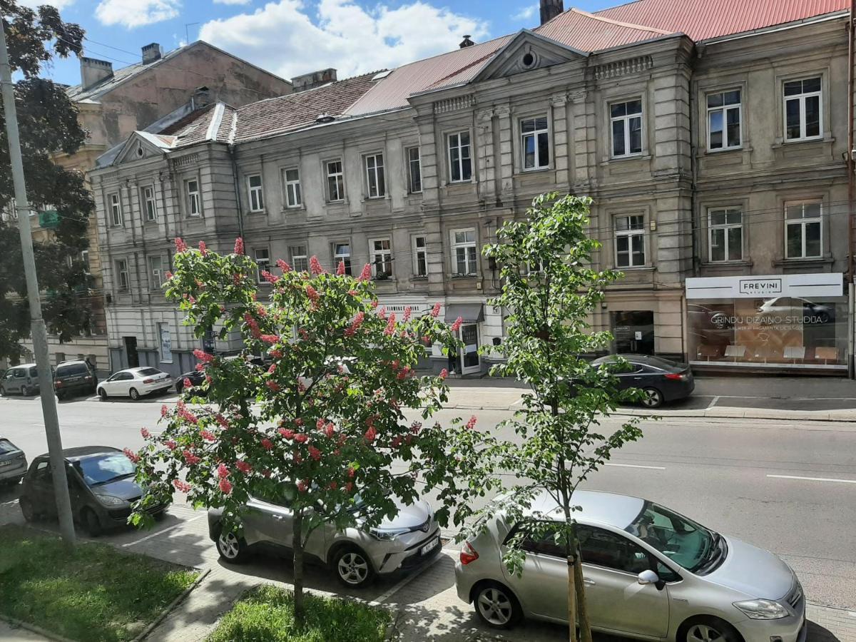 فيلنيوس Centrally Located Cosy Studio المظهر الخارجي الصورة